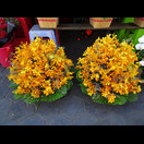 Blumengestecke ausschließlich aus Orchideen